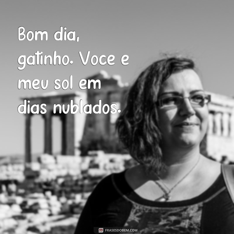 Encante-se com as melhores frases de bom dia para o seu gato 