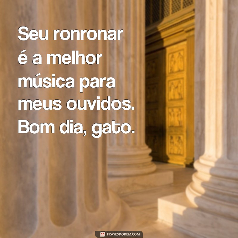 Encante-se com as melhores frases de bom dia para o seu gato 