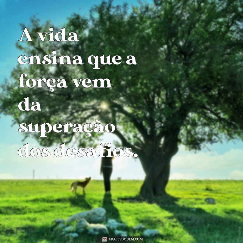 frases a vida ensina a ser forte A vida ensina que a força vem da superação dos desafios.