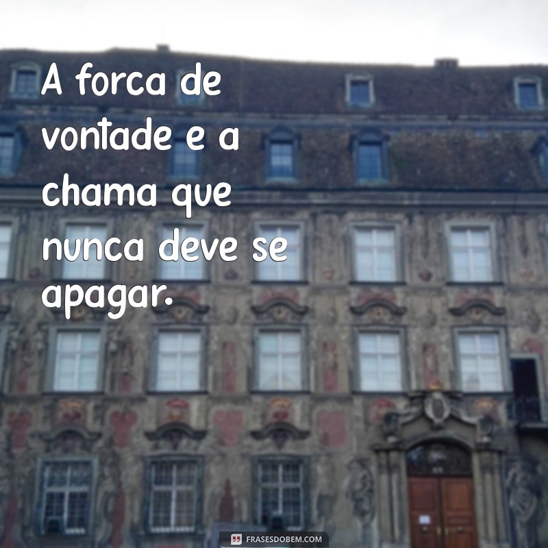 Frases Inspiradoras: Nunca Desista e Mantenha-se Focado nos Seus Objetivos 