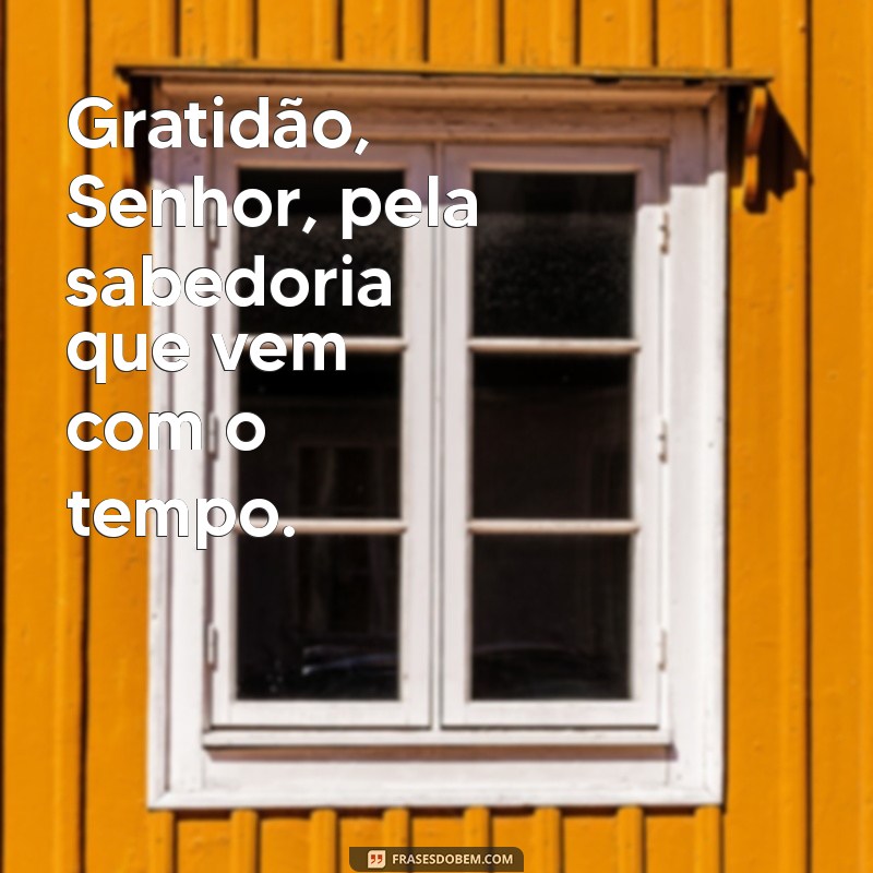 Como a Gratidão Transforma Nossa Vida: Agradecendo ao Senhor por Cada Momento 