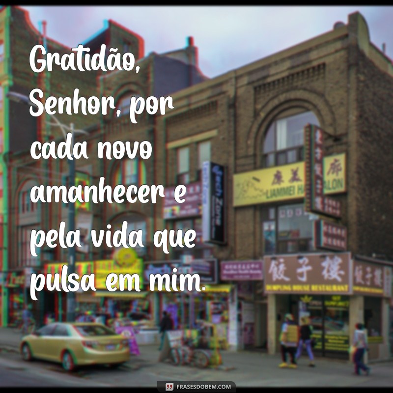 gratidão senhor por tudo Gratidão, Senhor, por cada novo amanhecer e pela vida que pulsa em mim.