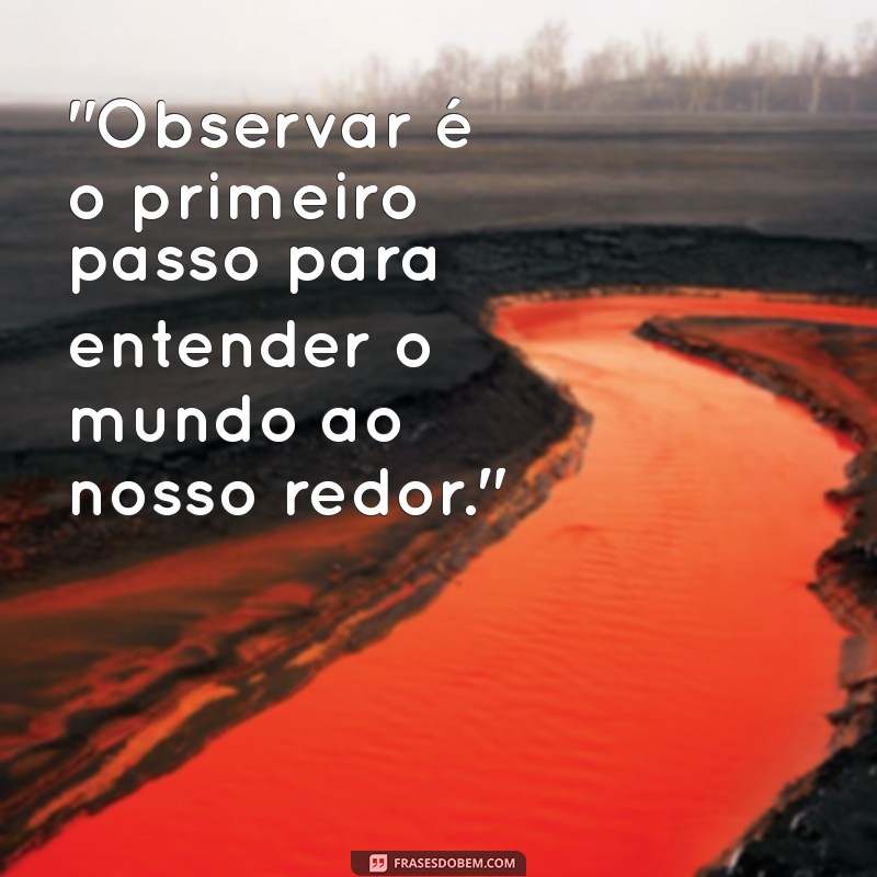 frases observar 