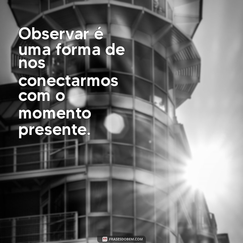 Frases Inspiradoras para Observar e Refletir sobre a Vida 