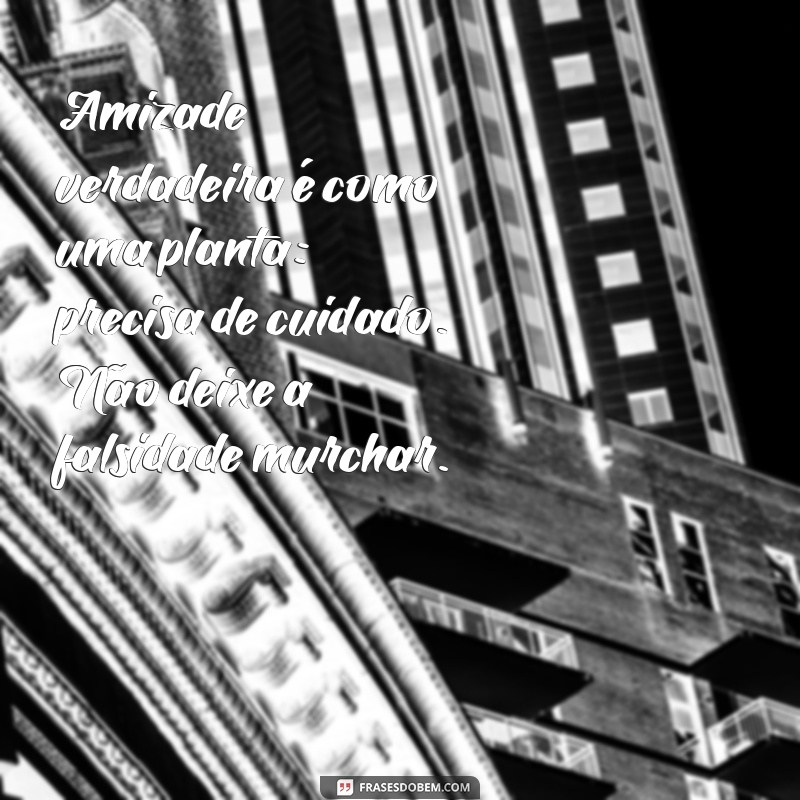 mensagem de indireta para amiga falsa Amizade verdadeira é como uma planta: precisa de cuidado. Não deixe a falsidade murchar.