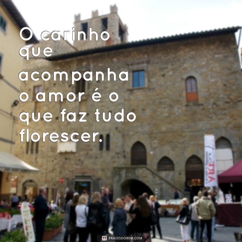 Frases Inspiradoras sobre Amor e Cuidado: Quem Ama, Cuida! 