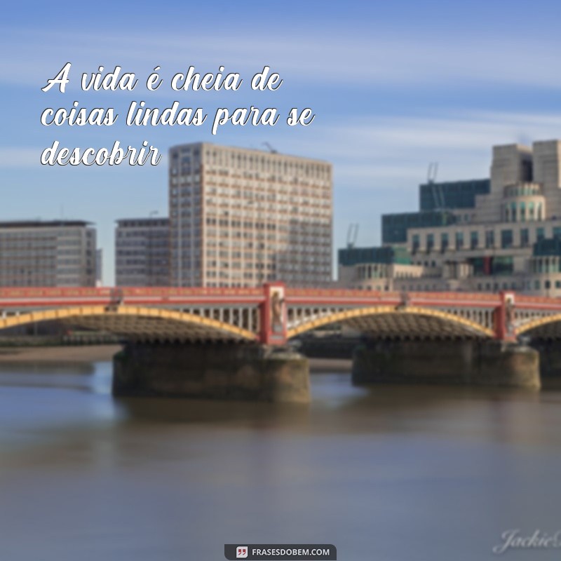 frases coisa linda A vida é cheia de coisas lindas para se descobrir.