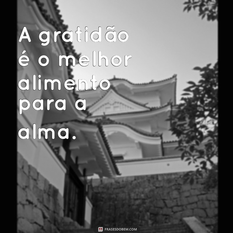 Descubra as Melhores Frases de Gratidão para Inspirar Seu Dia 