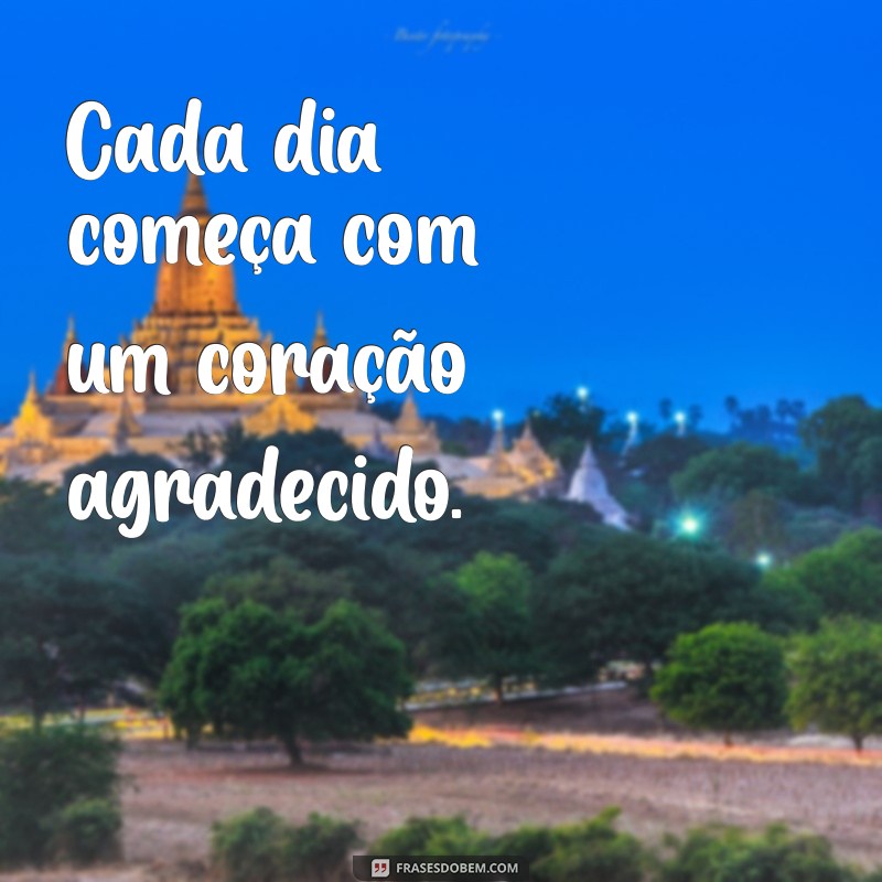 Descubra as Melhores Frases de Gratidão para Inspirar Seu Dia 