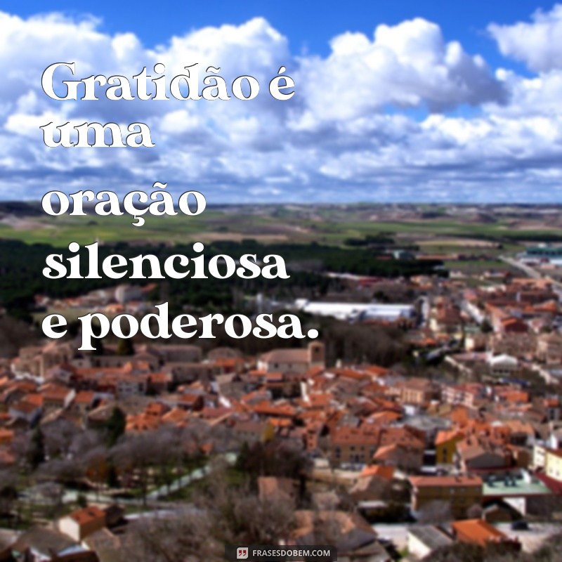 Descubra as Melhores Frases de Gratidão para Inspirar Seu Dia 