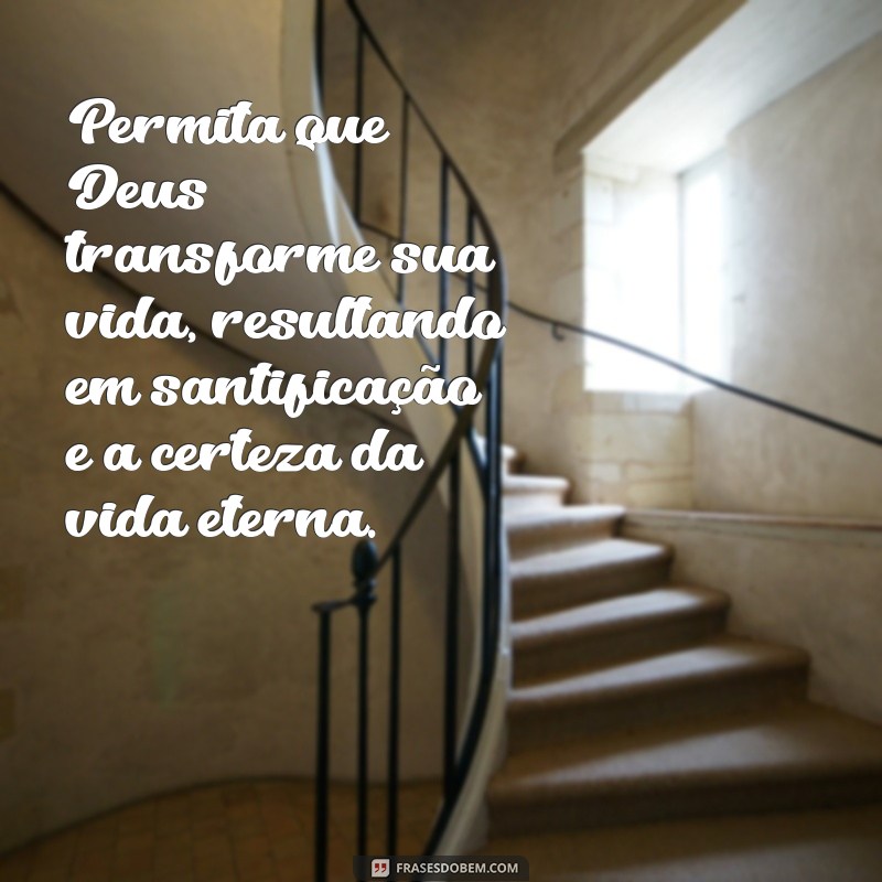 Romanos 6:22: A Liberdade e o Fruto da Santidade 