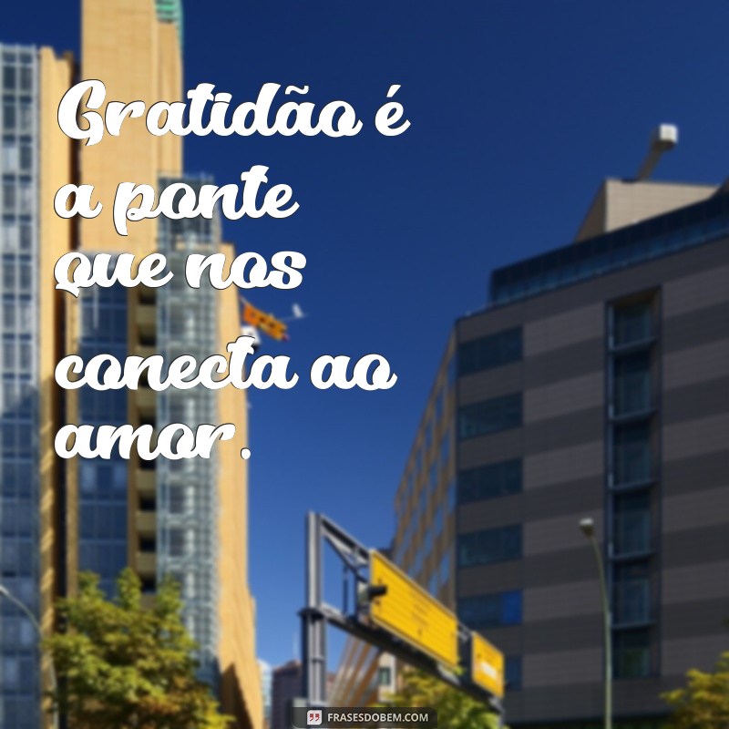 Como Capturar a Essência da Gratidão em Suas Fotos: Dicas e Inspirações 