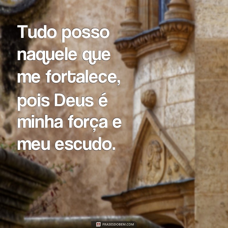 frases fábio de melo tudo posso Tudo posso naquele que me fortalece, pois Deus é minha força e meu escudo.