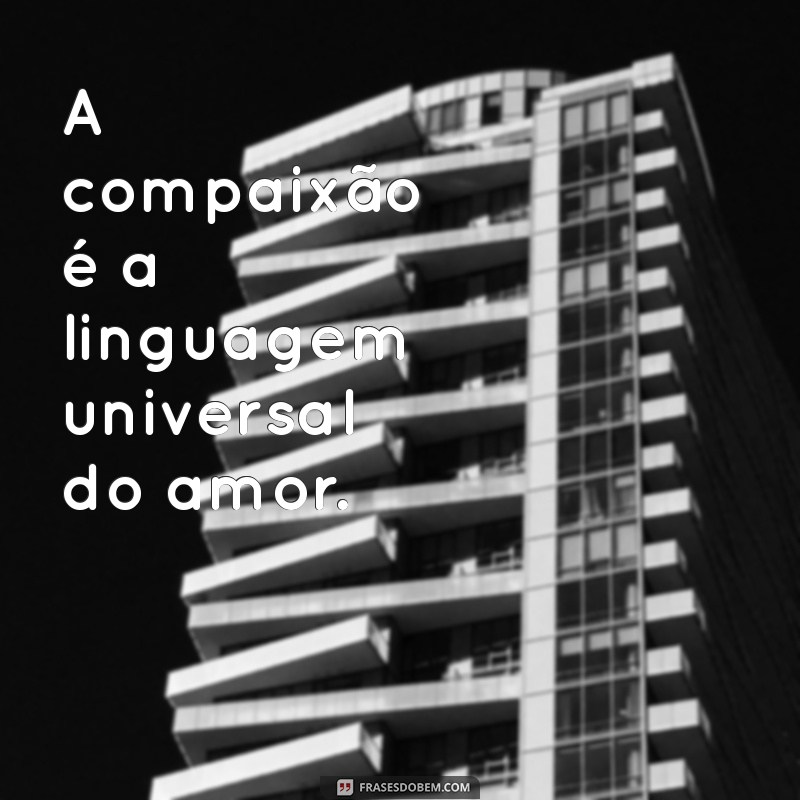 Frases Transformadoras para Inspirar sua Vida 