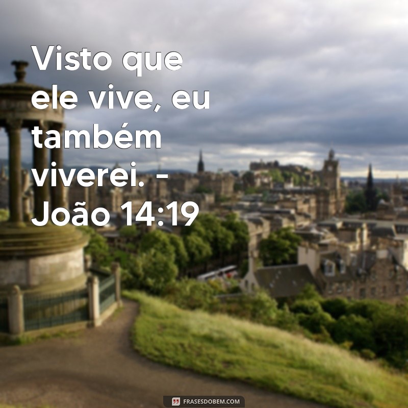 Descubra o Versículo que Comprova que Jesus Está Vivo 