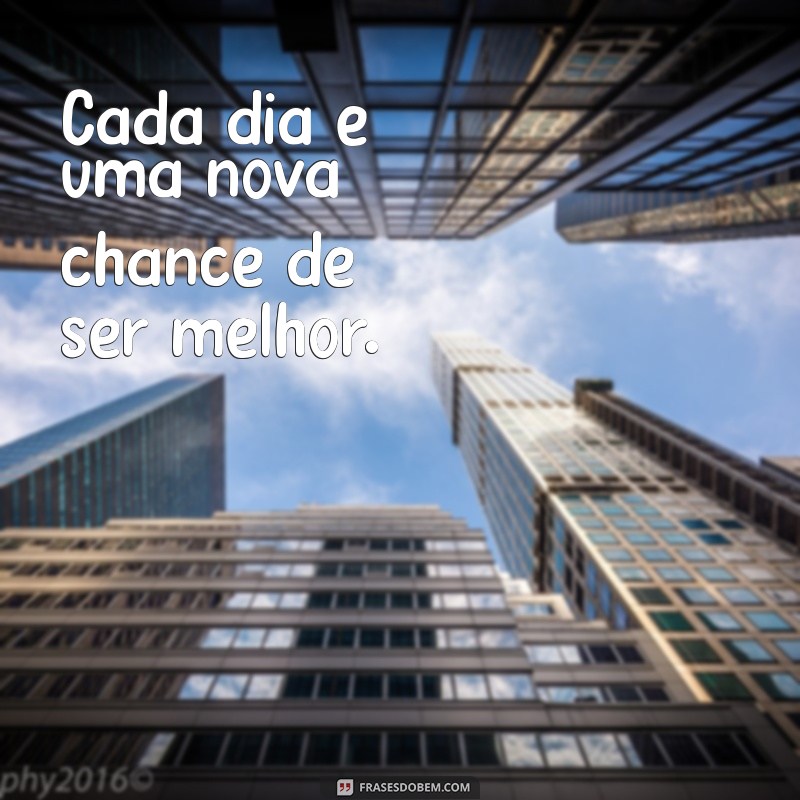 As Melhores Frases para Transformar Sua Bio do Instagram em um Sucesso 