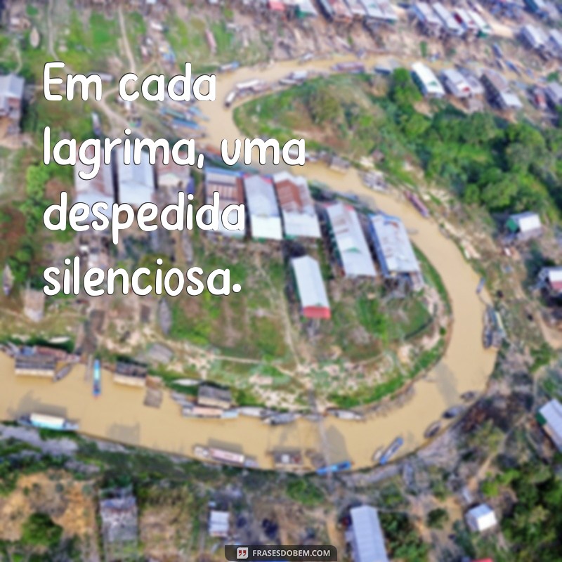 Como Lidar com a Perda: Reflexões e Homenagens em Foto de Luto pelo Primo 