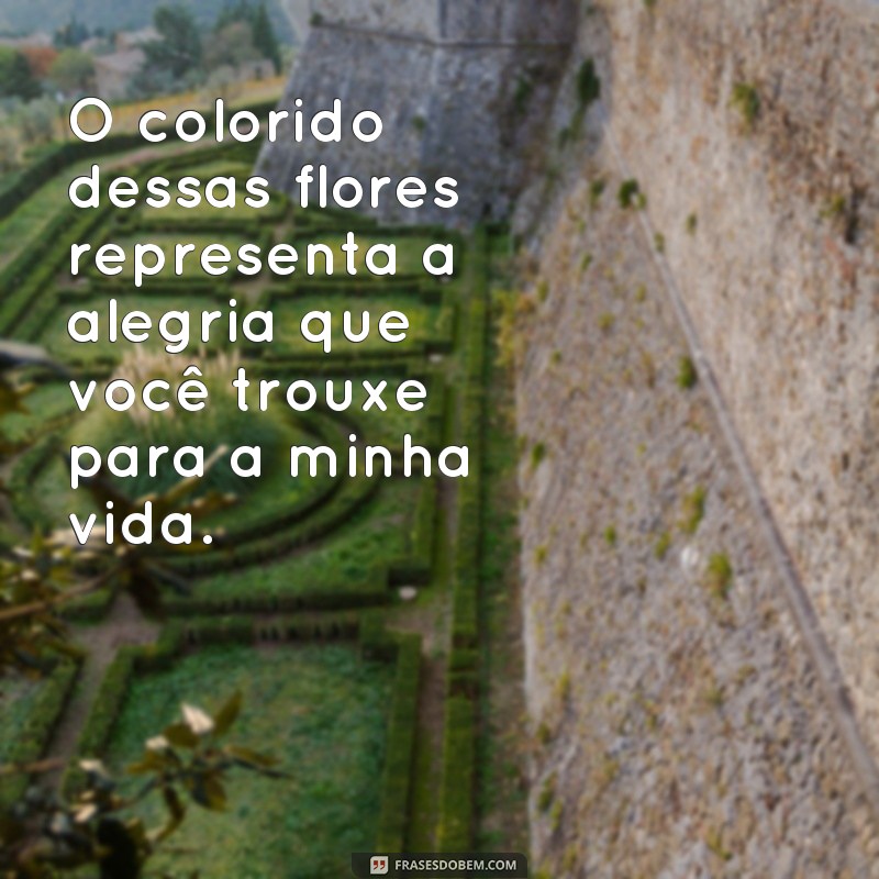 Descubra as mais belas frases sobre flores para inspirar seu dia 