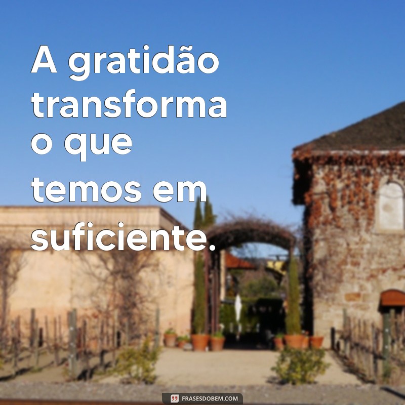 gratidão A gratidão transforma o que temos em suficiente.