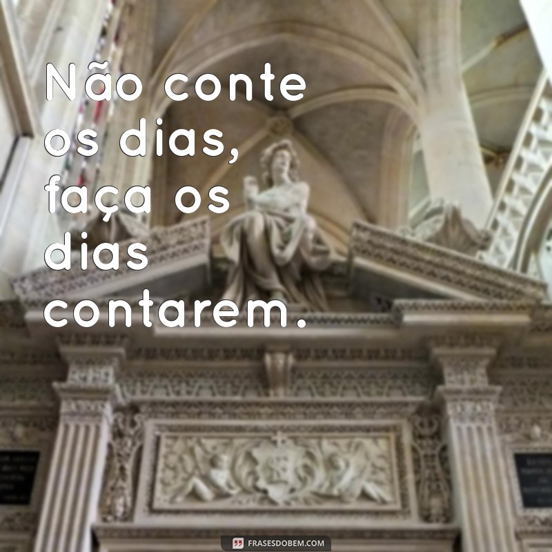 As Melhores Frases de Academia para Bombar Seu Instagram 