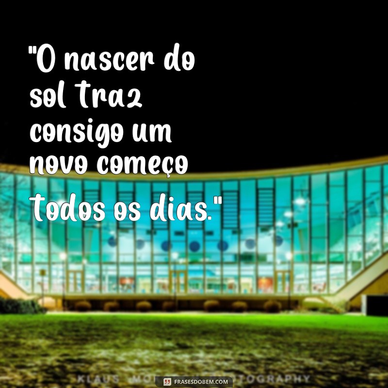 frases nascer do sol frases 