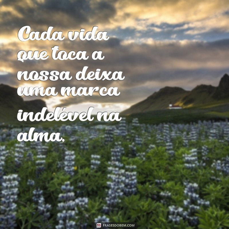 Frases Confortantes para Lidar com o Falecimento: Mensagens de Apoio e Luto 