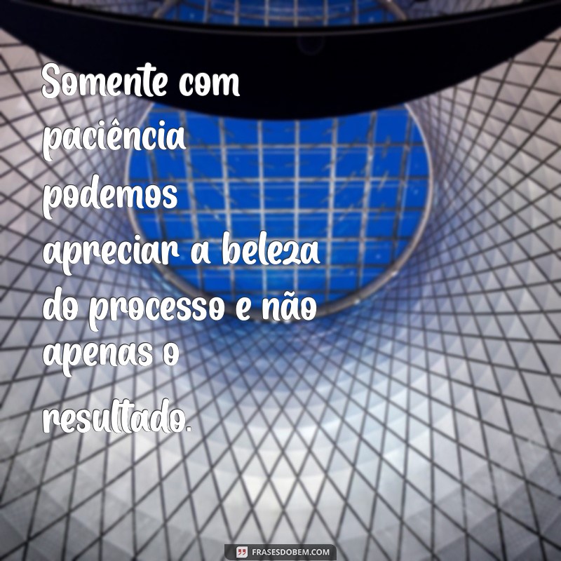 Reflexões Profundas sobre a Paciência: Mensagens que Inspiram 