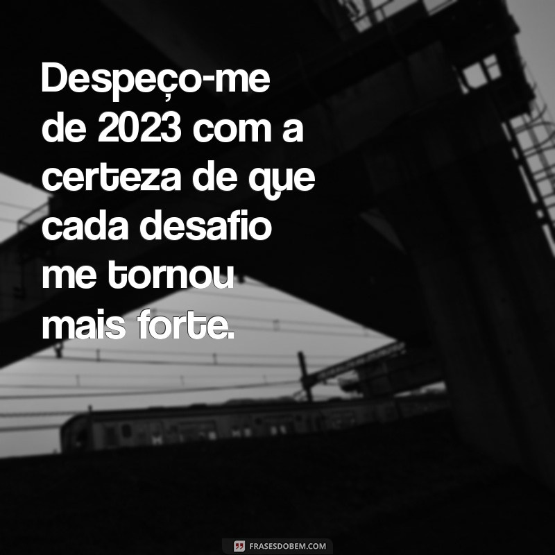 Frases Inspiradoras para Celebrar o Último Dia do Ano de 2023 