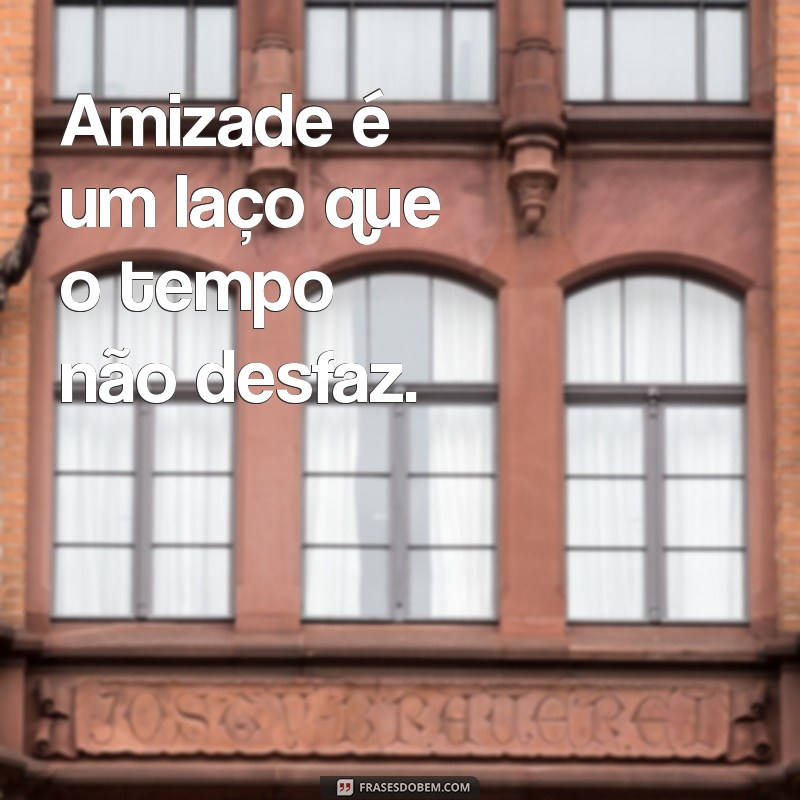 frases pequena de amizade Amizade verdadeira é aquela que nasce sem motivo e se mantém sem fim.