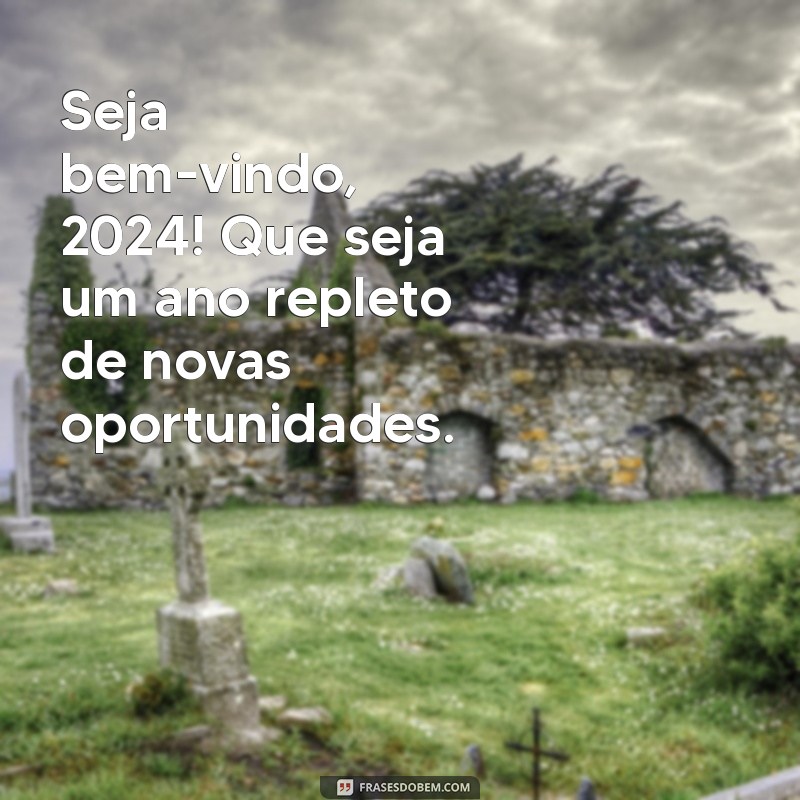 seja bem vindo 2024 frases Seja bem-vindo, 2024! Que seja um ano repleto de novas oportunidades.