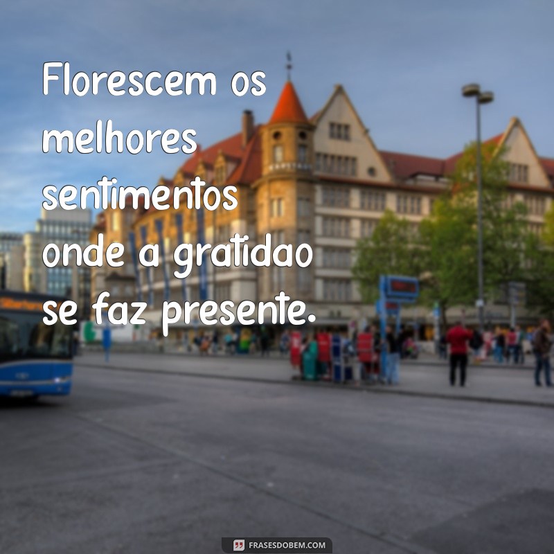 Flores e Mensagens: Transmitindo Sentimentos com o Poder das Plantas 