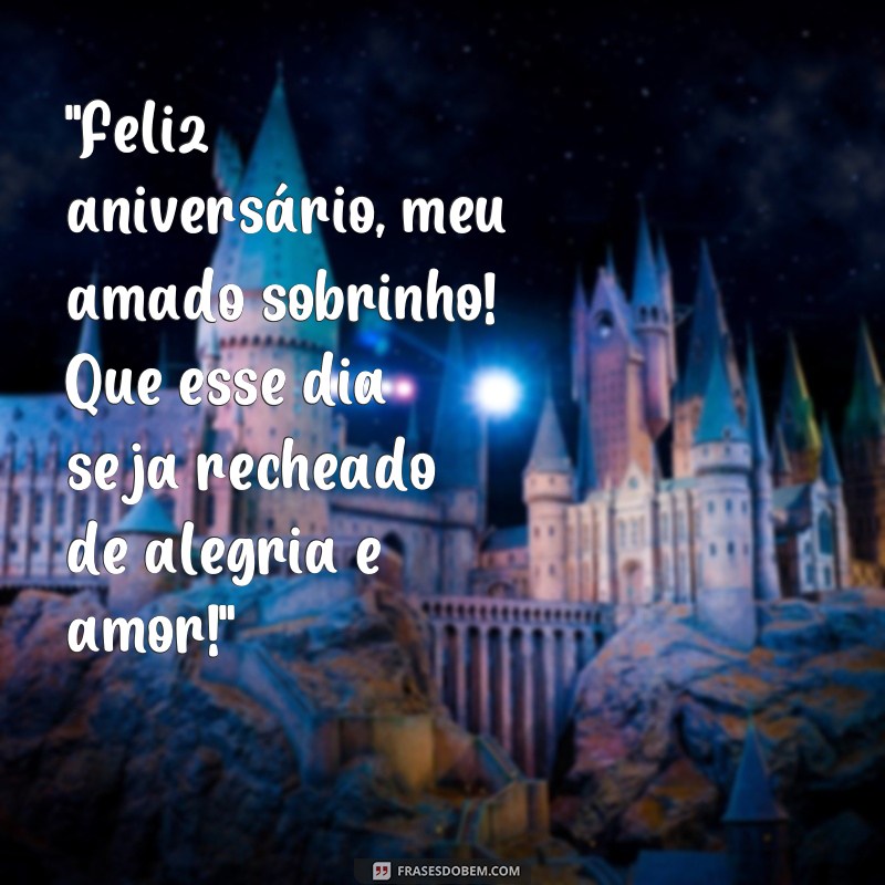 frases de aniversário para sobrinho pequeno 