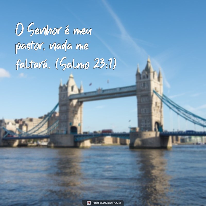 todos os salmos da bíblia O Senhor é meu pastor, nada me faltará. (Salmo 23:1)