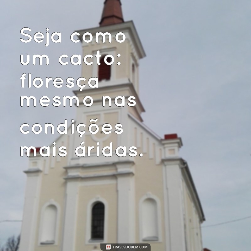 seja como um cacto frases Seja como um cacto: floresça mesmo nas condições mais áridas.