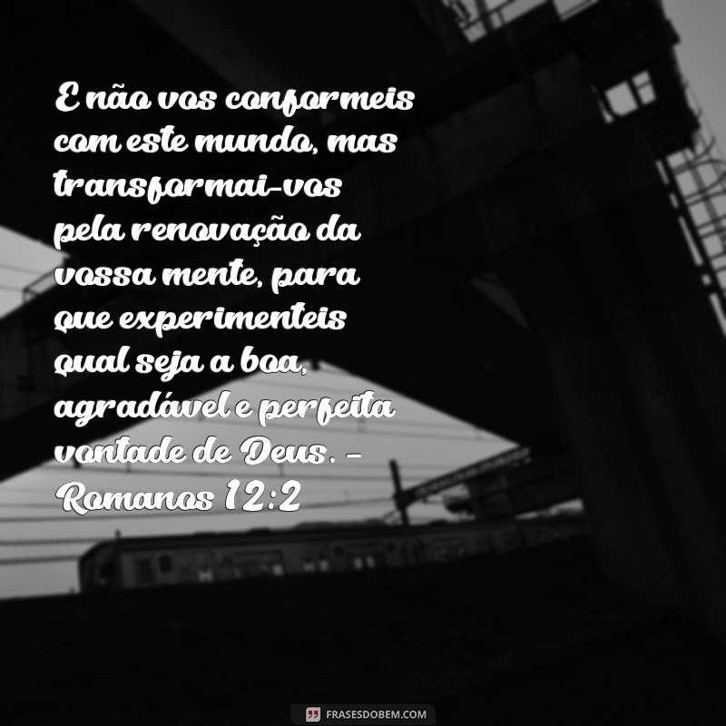 Versículos da Bíblia para Cura: Mensagens de Esperança e Renovação 