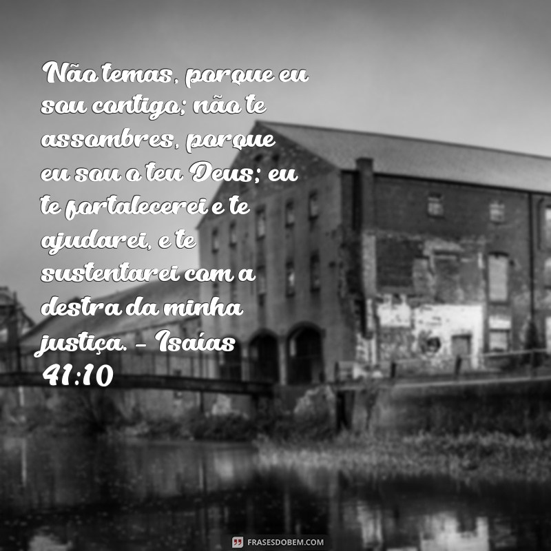 Versículos da Bíblia para Cura: Mensagens de Esperança e Renovação 