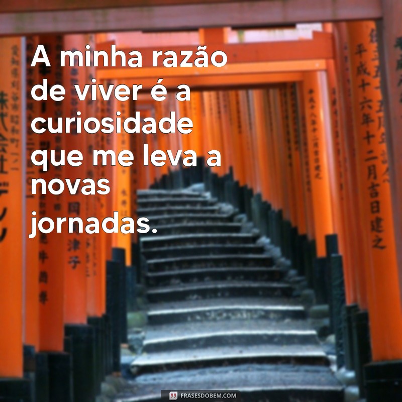 Frases Inspiradoras: Descubra Sua Razão de Viver 