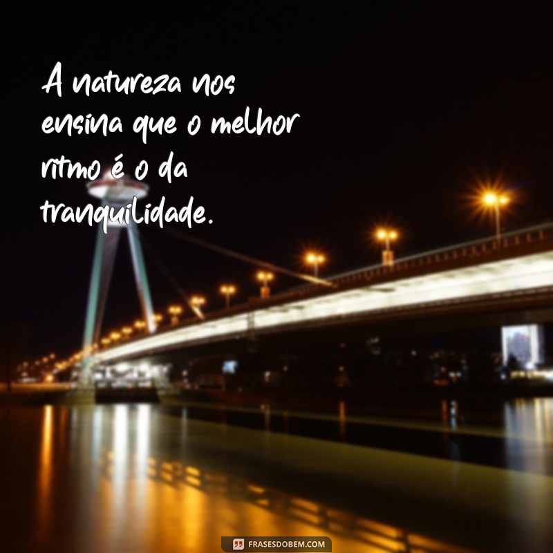 Frases Inspiradoras para Aproveitar ao Máximo Seu Passeio 