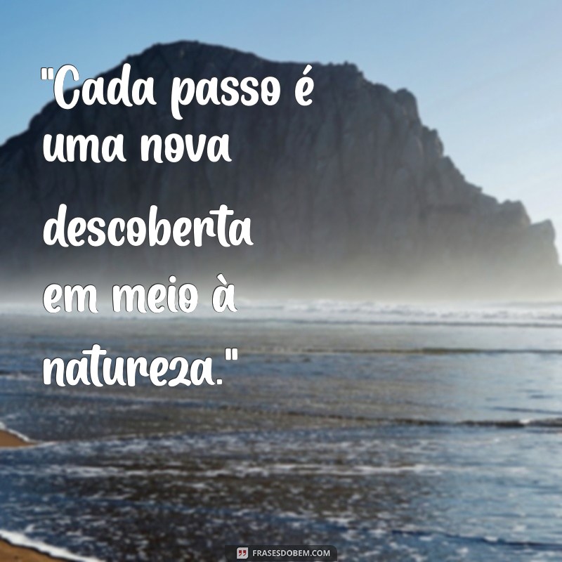 passeio frases 