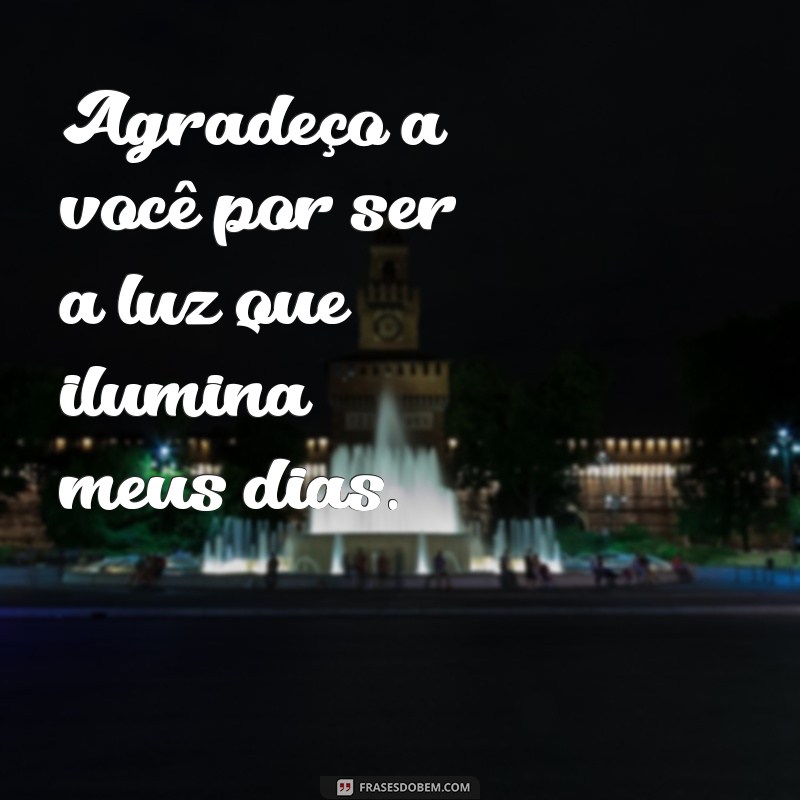 frases de agradecimento namorada Agradeço a você por ser a luz que ilumina meus dias.