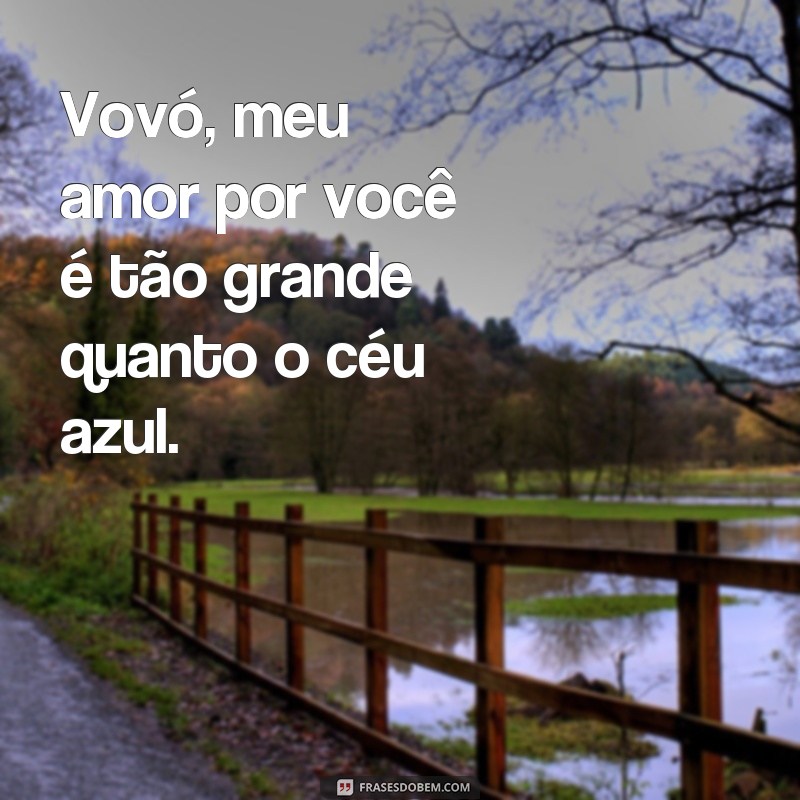 frases de amor para vovó Vovó, meu amor por você é tão grande quanto o céu azul.